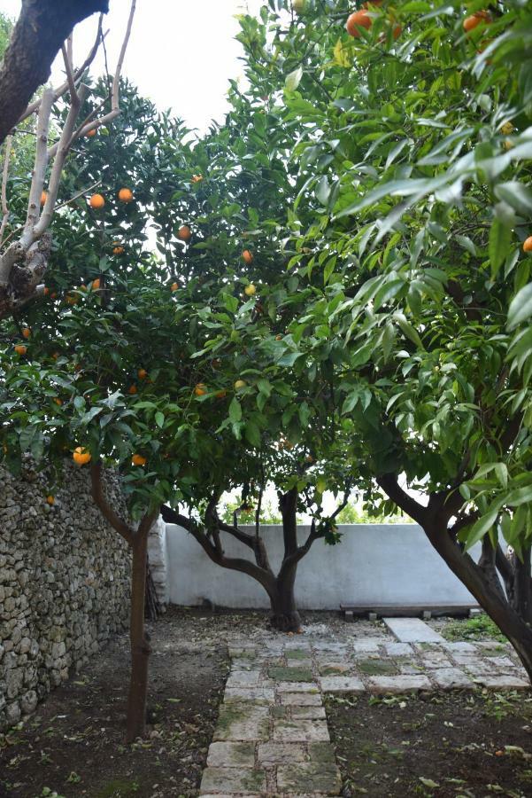 Apartamento Dimora Le Zagare Ostuni Exterior foto