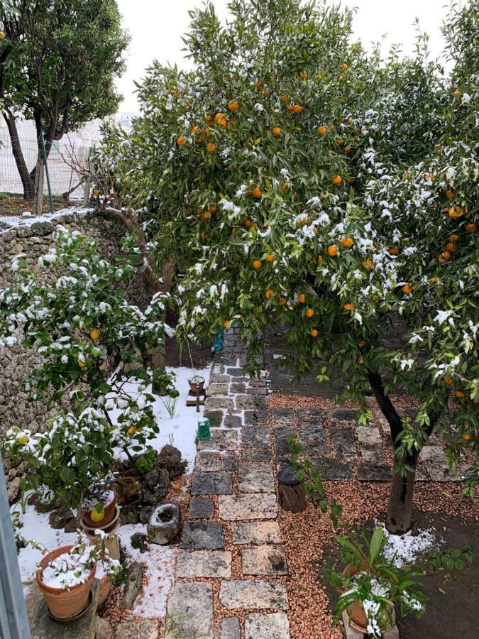 Apartamento Dimora Le Zagare Ostuni Exterior foto