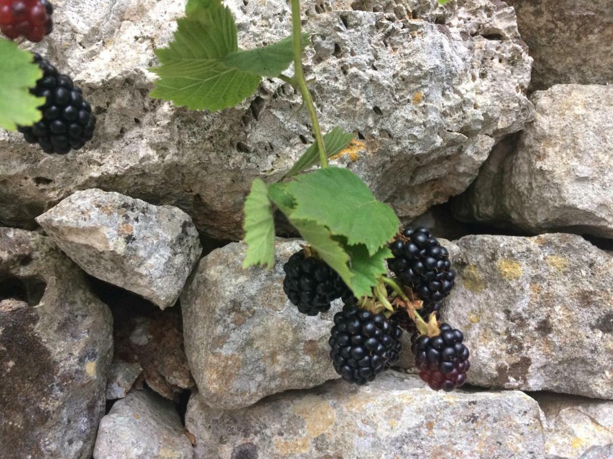 Apartamento Dimora Le Zagare Ostuni Exterior foto