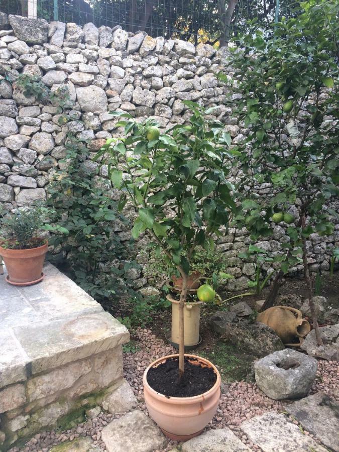 Apartamento Dimora Le Zagare Ostuni Exterior foto