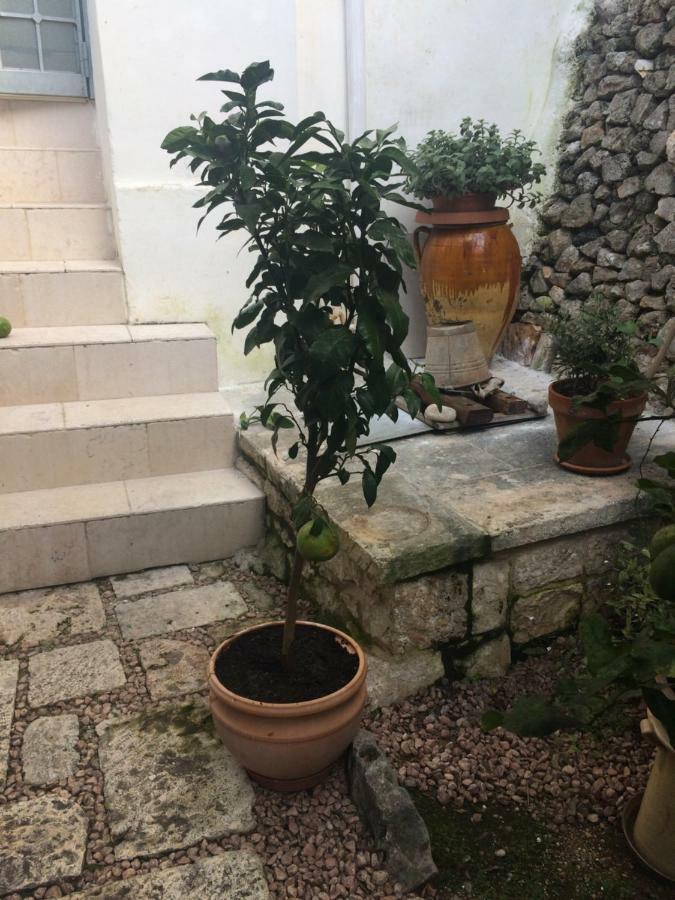 Apartamento Dimora Le Zagare Ostuni Exterior foto